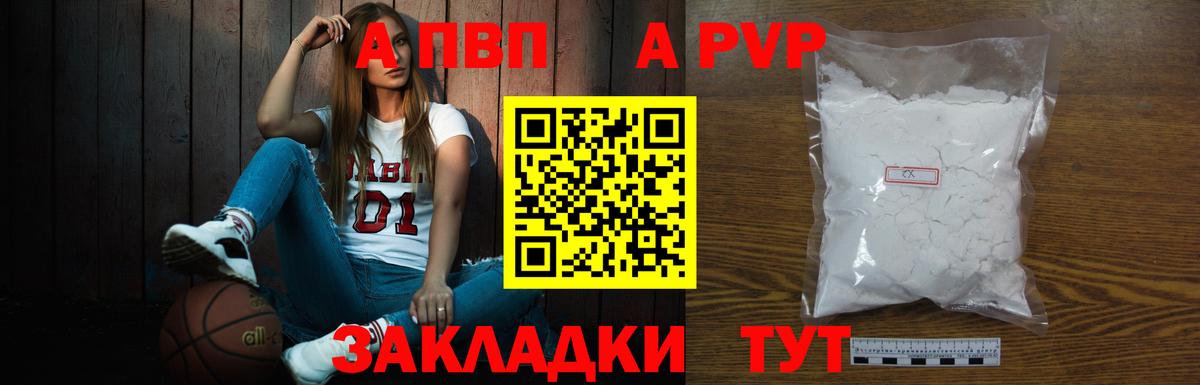 Альфа ПВП СК КРИС Благодарный